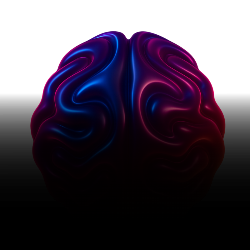 3D brain illustration